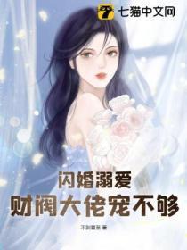 闪婚溺爱全文免费