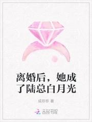 离婚后她竟成了女神陆沐风