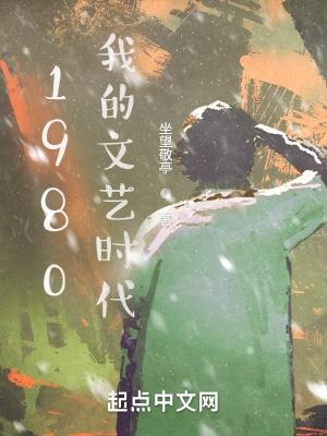 1980我的文艺时代无防盗