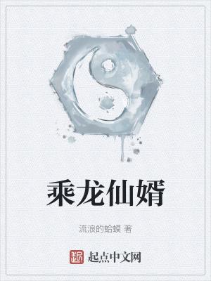 乘龙仙婿起点中文网