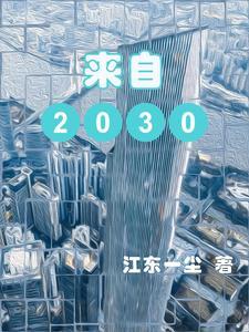 来自2030年的手机