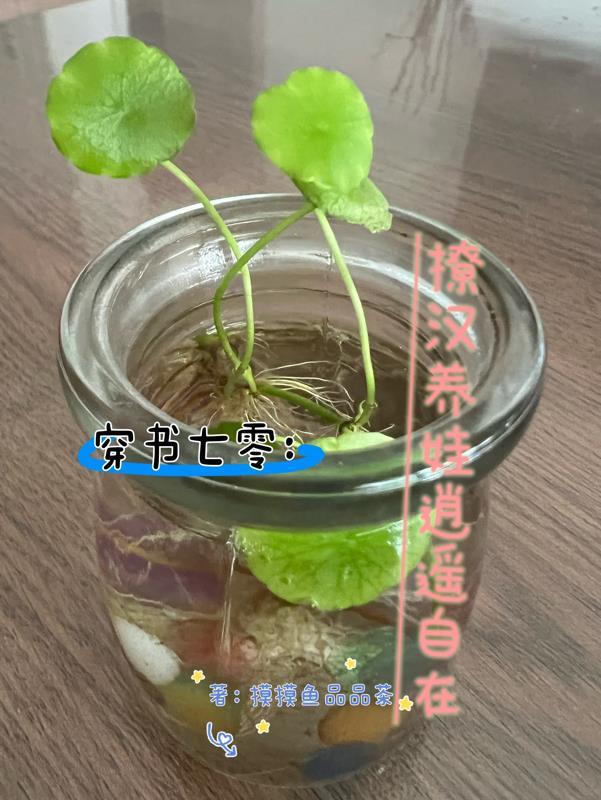 穿书七零撩汉养娃逍遥自在 摸摸鱼品品茶