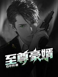 至尊神婿叶昊最新完结版