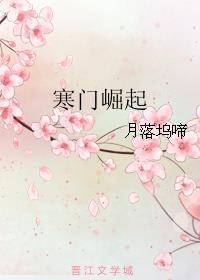 寒门崛起txt精校版