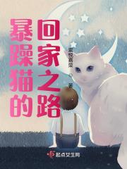 暴躁猫动画