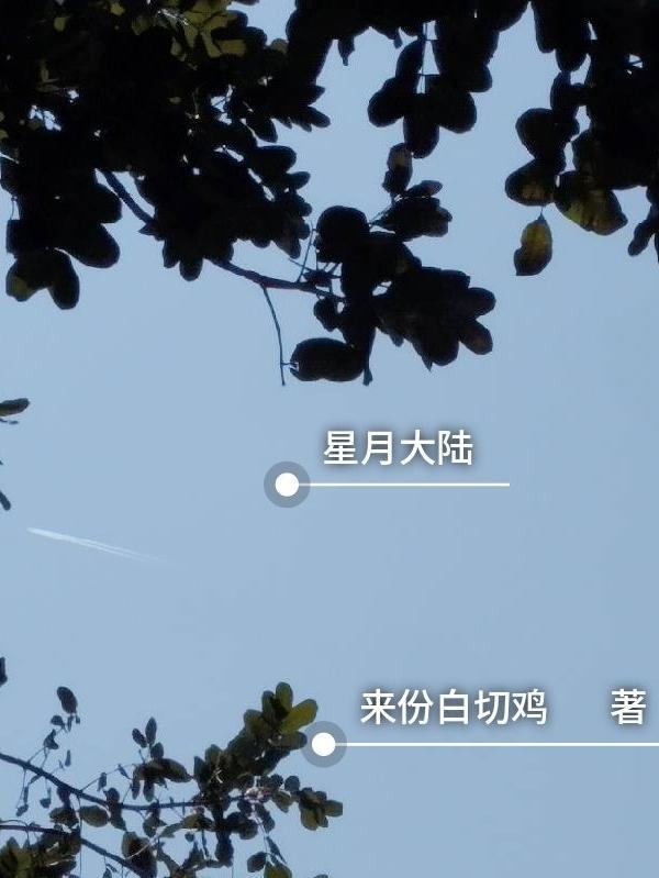 星月大业