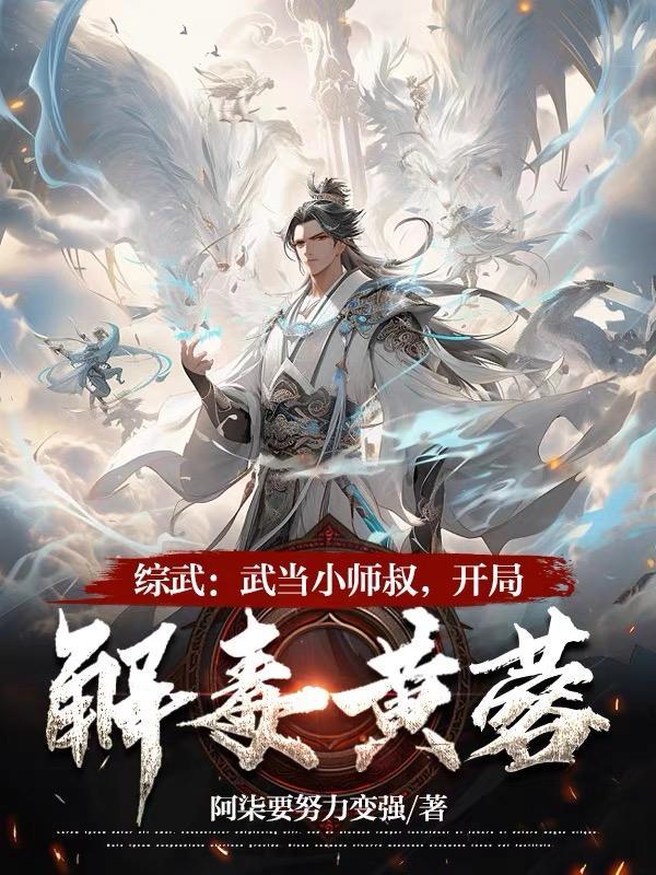 武当小师叔在都市