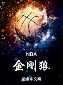 nba金刚狼无防盗