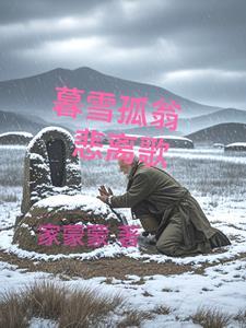 暮雪什么意思?