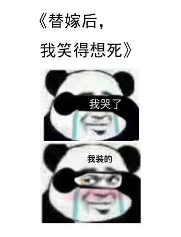 替嫁后我笑得想死百度TXT链接