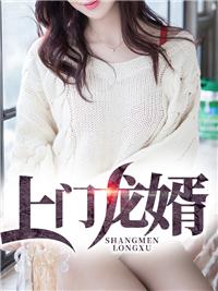 上门龙婿叶公子