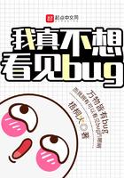 我真不想看见bug